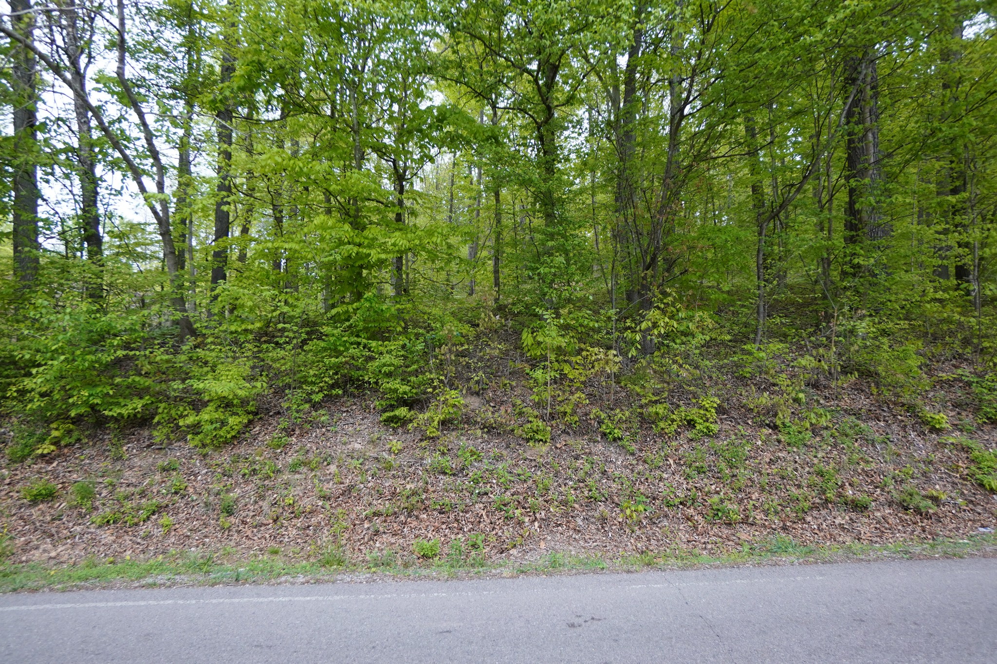 2000 Bumpus Mills Road Dover, TN 37058 - Photo 7 of 19 Gallery Image 7