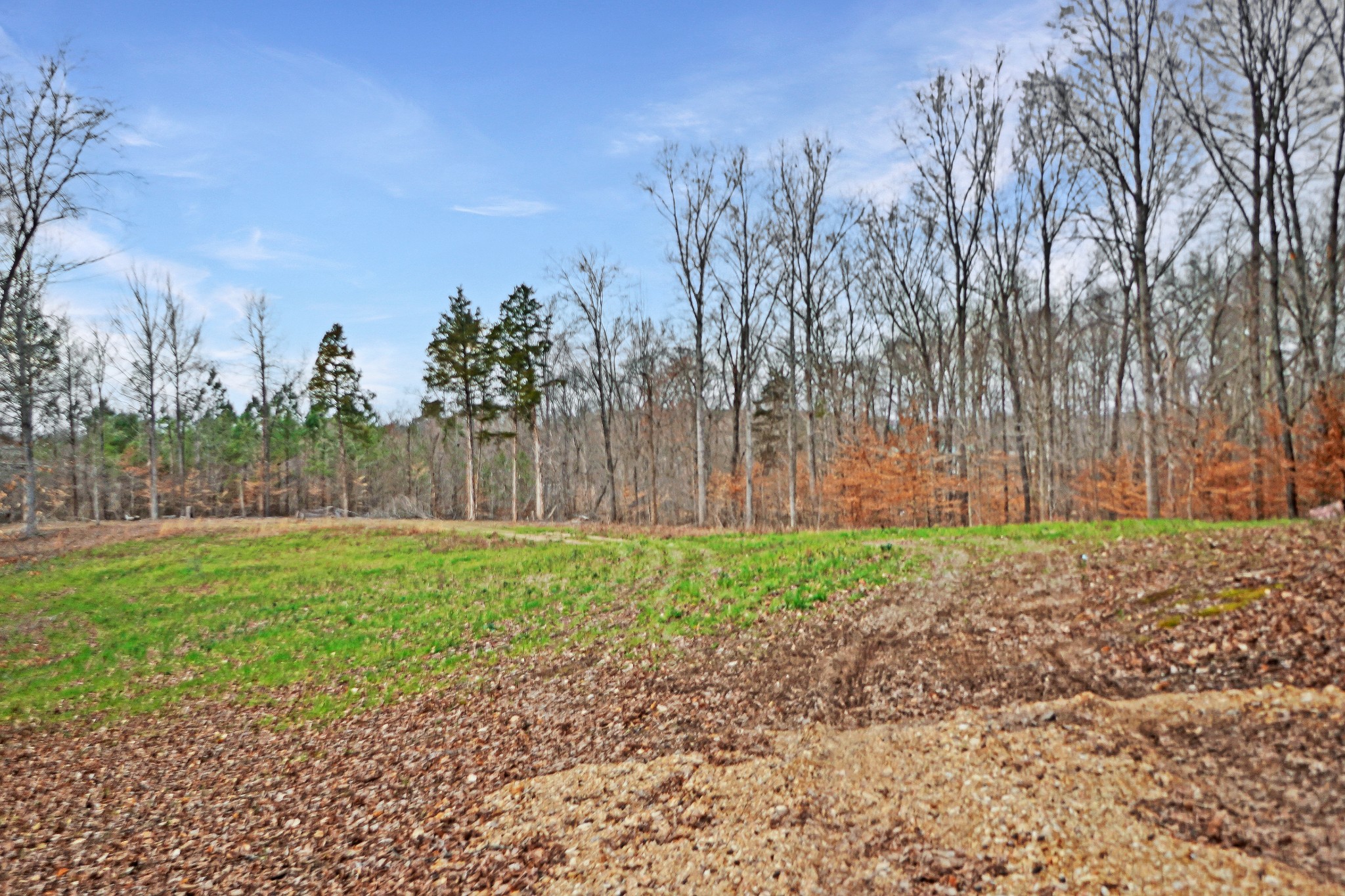 2000 Bumpus Mills Road Dover, TN 37058 - Photo 9 of 19 Gallery Image 9