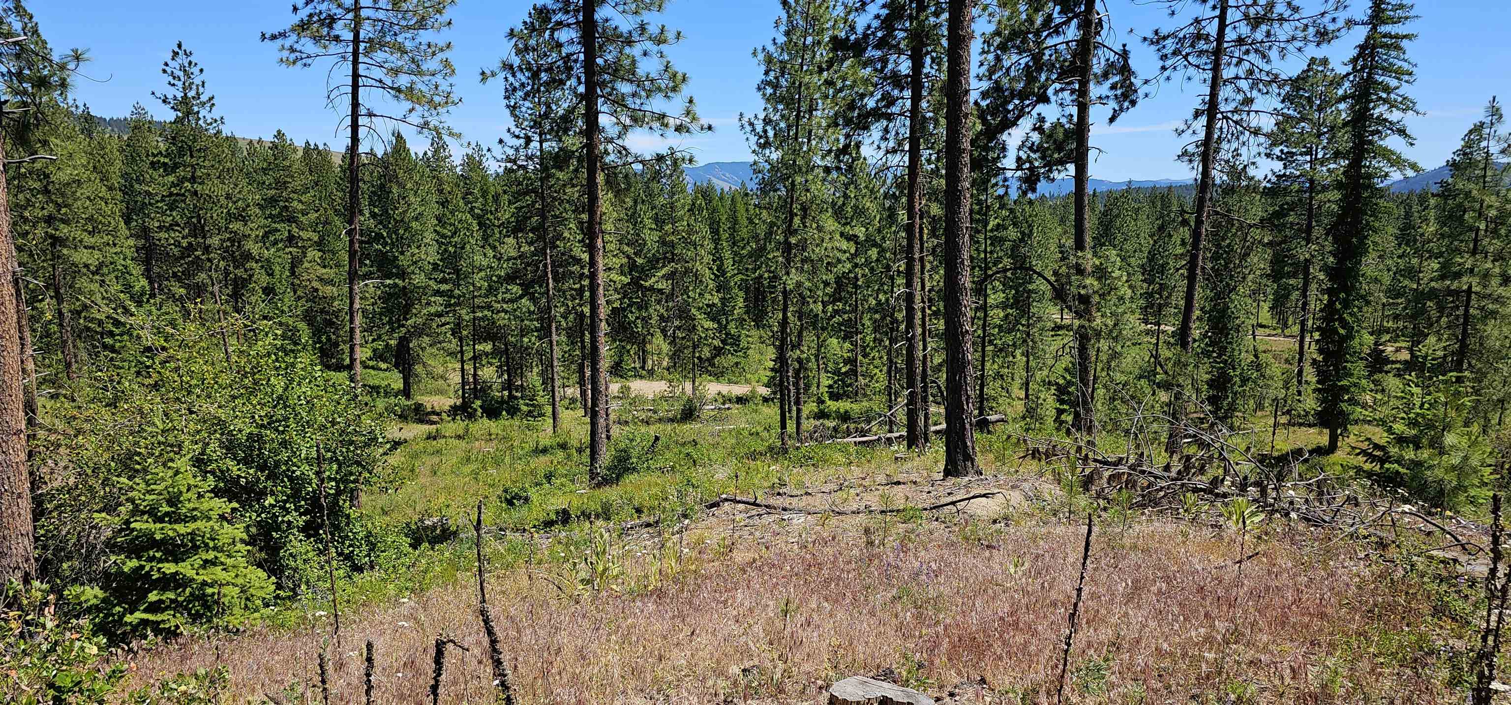 20 X Lynx Road Inchelium, WA 99138 - Photo 21 of 38 Gallery Image 21