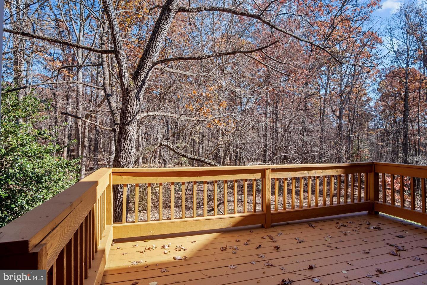 1602 Oak Spring Way Reston, VA 20190 - Photo 10 of 33