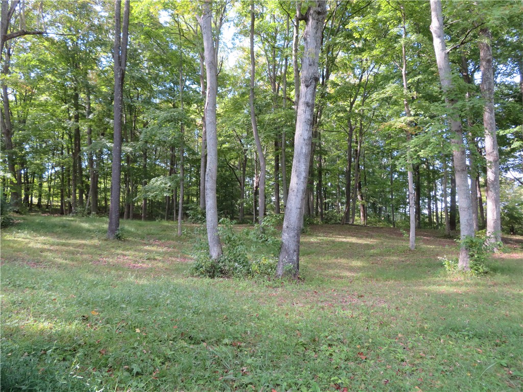 748 Inlow Avenue Peebles, OH 45660 - Photo 57 of 61 This verdant, wooded lot offers a tranquil setting for your future home.
