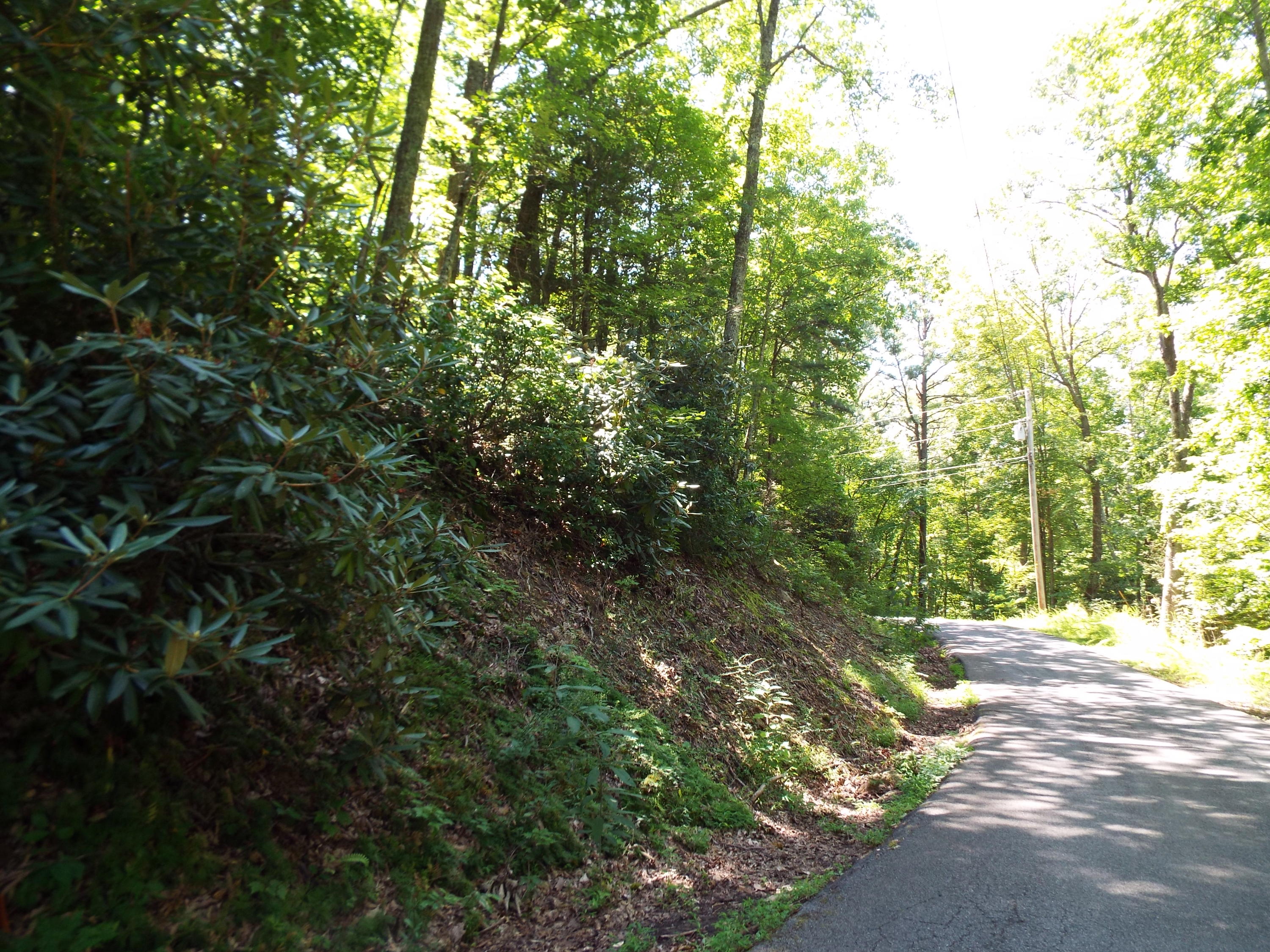 1-2 Red Bud Road Sevierville, TN 37876 - Photo 1 of 10 DSCF5608 - Copy