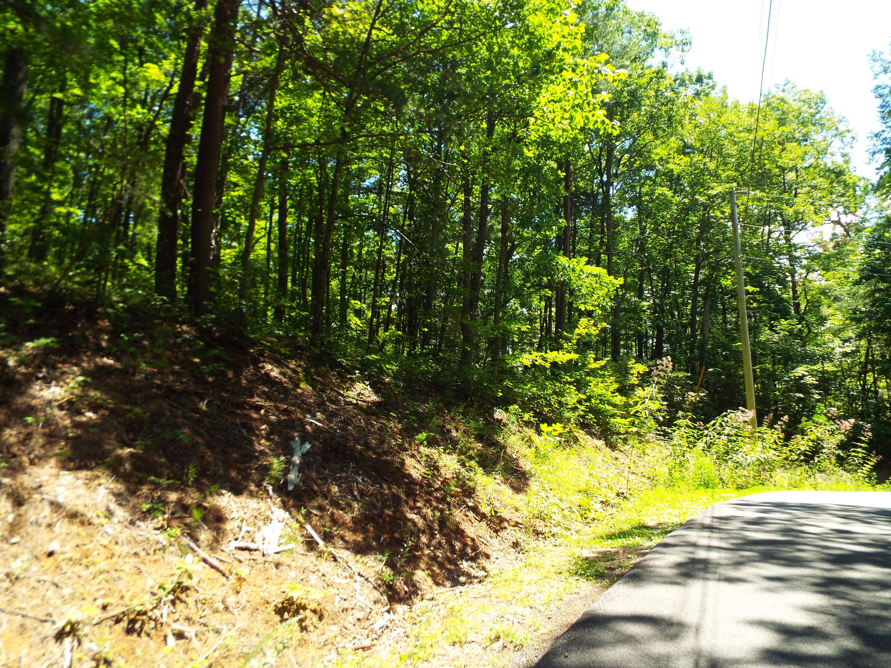 1-2 Red Bud Road Sevierville, TN 37876 - Photo 5 of 10 DSCF5616
