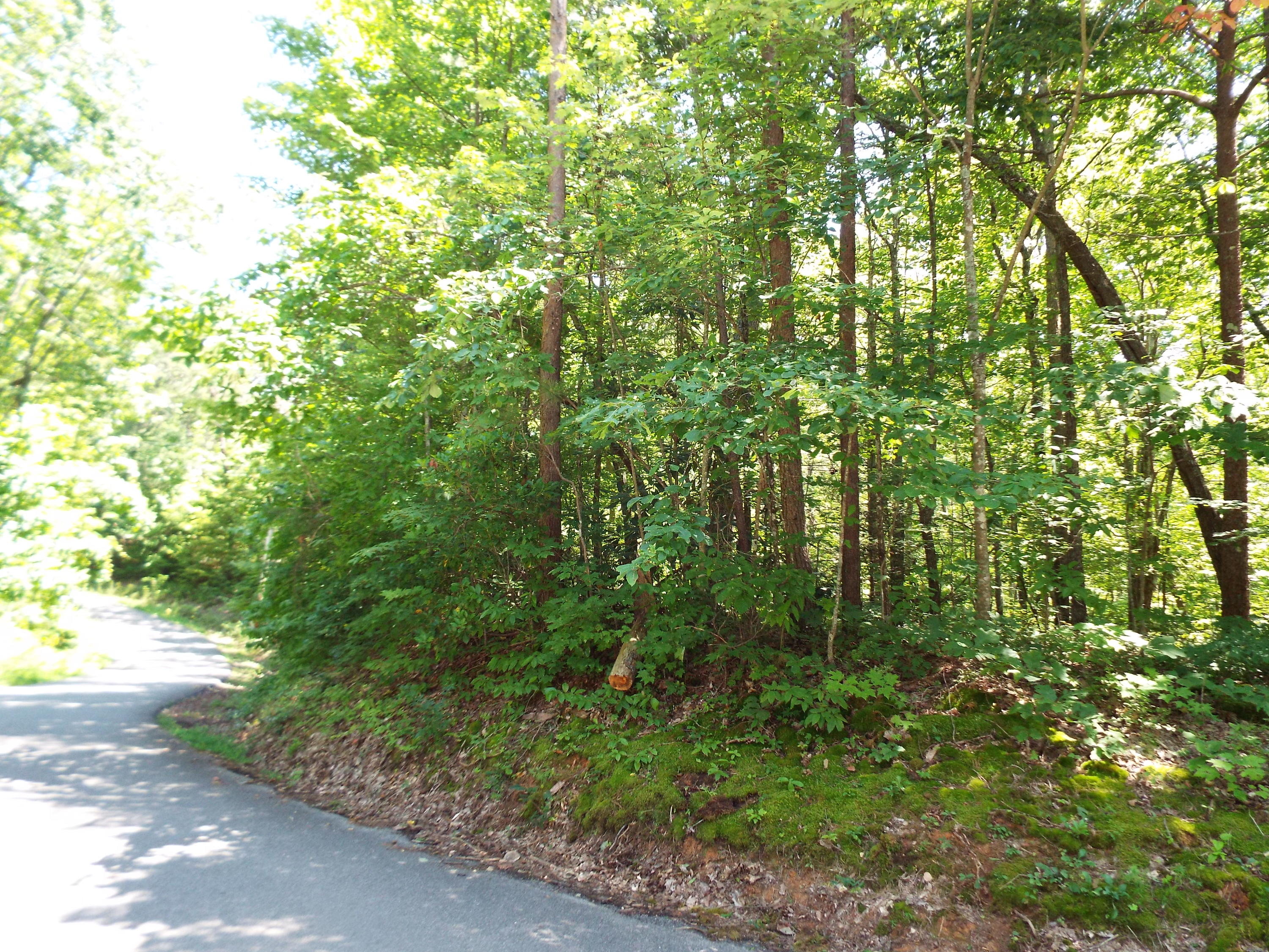 1-2 Red Bud Road Sevierville, TN 37876 - Photo 9 of 10 DSCF5631