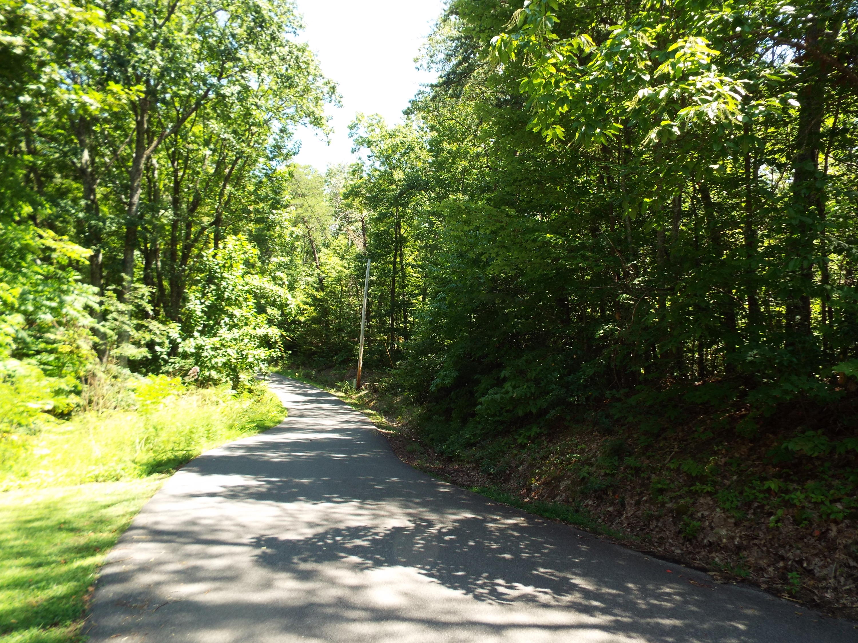 1-2 Red Bud Road Sevierville, TN 37876 - Photo 10 of 10 DSCF5632