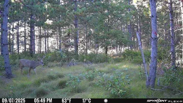 $449,900 | 1730 9th Avenue, Preston, WI 53934