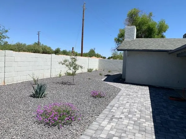 a view of a backyard