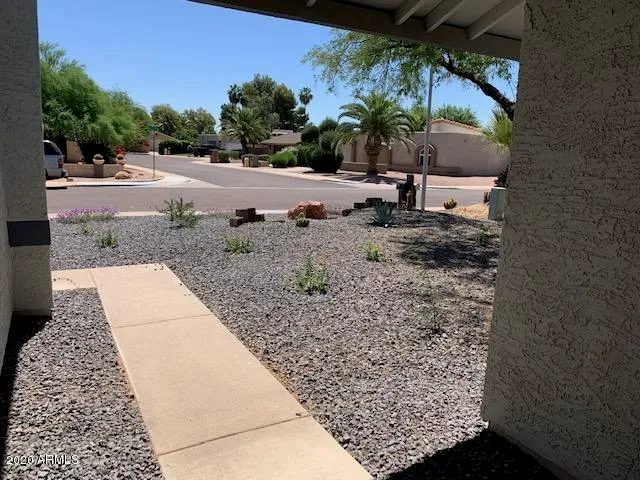 a view of a backyard