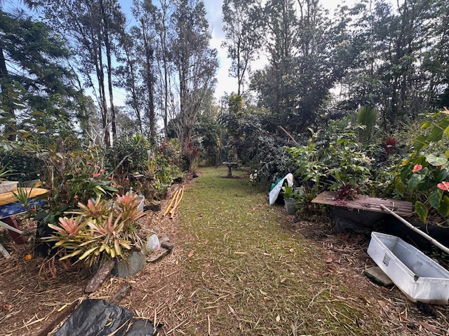 1379 Mele Manu Street Hilo, HI 96720 - Photo 12 of 20 a view of outdoor space and yard
