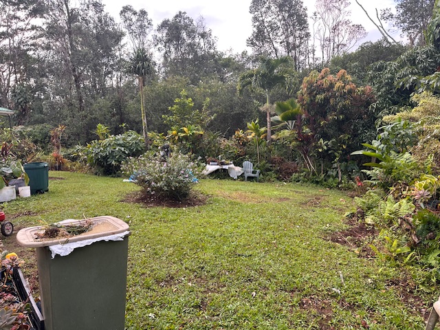1379 Mele Manu Street Hilo, HI 96720 - Photo 16 of 20 a view of a garden with plants