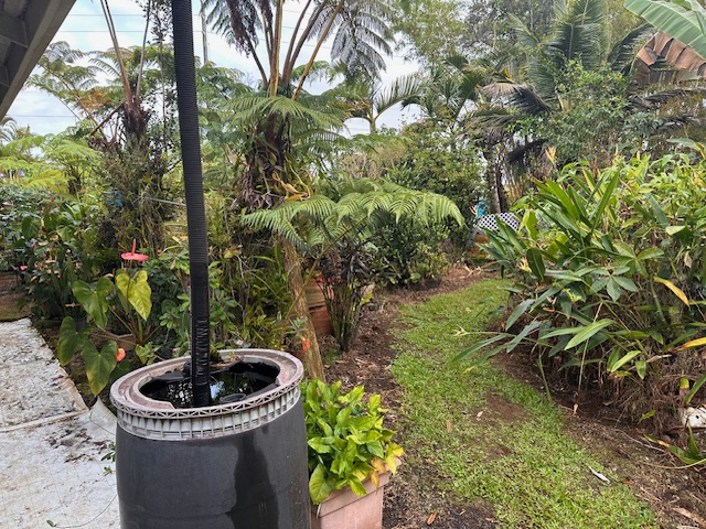 1379 Mele Manu Street Hilo, HI 96720 - Photo 18 of 20