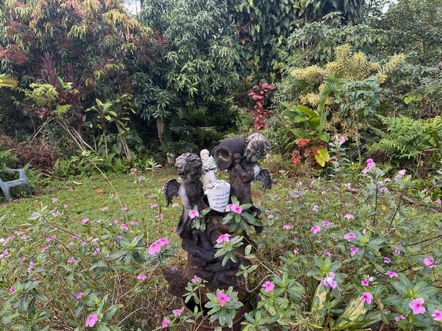 1379 Mele Manu Street Hilo, HI 96720 - Photo 19 of 20