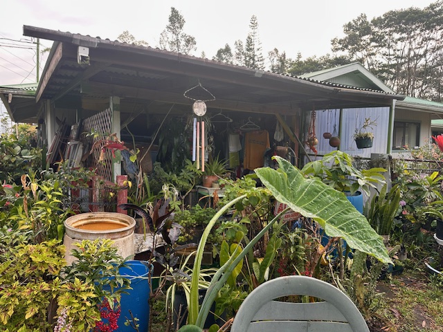 1379 Mele Manu Street Hilo, HI 96720 - Photo 20 of 20 a view of a garden with plants