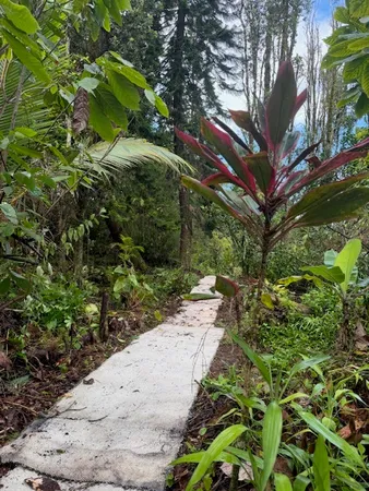 $829,000 | 1379 Mele Manu Street, Hilo, HI 96720