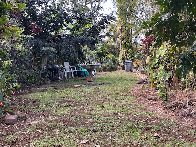 1379 Mele Manu Street Hilo, HI 96720 - Photo 3 of 20 a view of a backyard with large trees