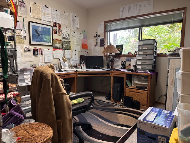 1379 Mele Manu Street Hilo, HI 96720 - Photo 7 of 20 a room with furniture a window and a fireplace
