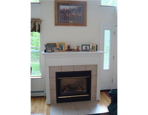 628 Deerwander Road Hollis Center, ME 04042 - Photo 10 of 25 Other. gas fireplace in the living...