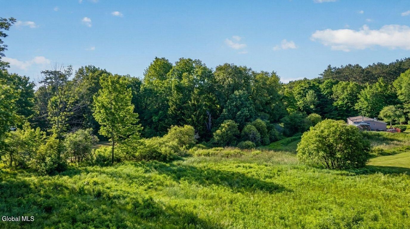 171 Rossman Hill Road Summit, NY 12175 - Photo 48 of 54 171-Rossman-Hill-Rd-Summit-Exterior (31)