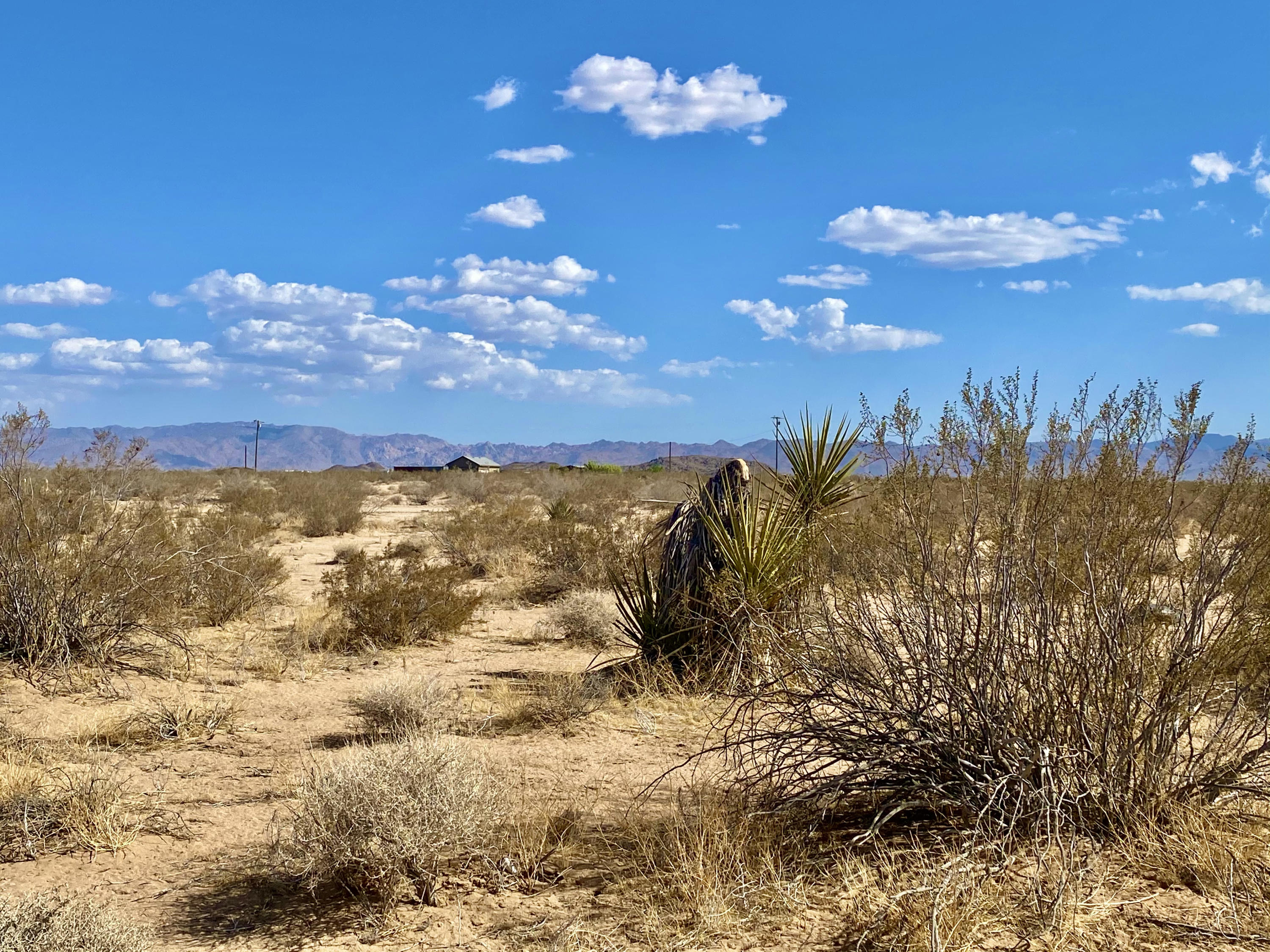 124 Winters Road Joshua Tree, CA 92252 - Photo 14 of 25 a view of a sky
