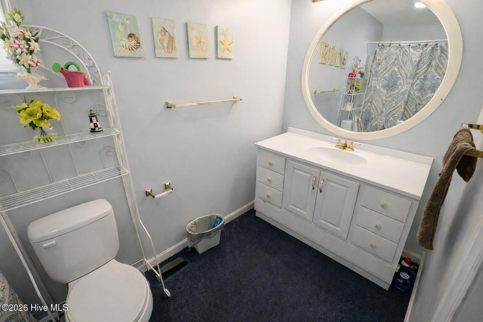 1335 North Ridge Street Southern Pines, NC 28387 - Photo 12 of 19 1335 N Ridge PrimBth