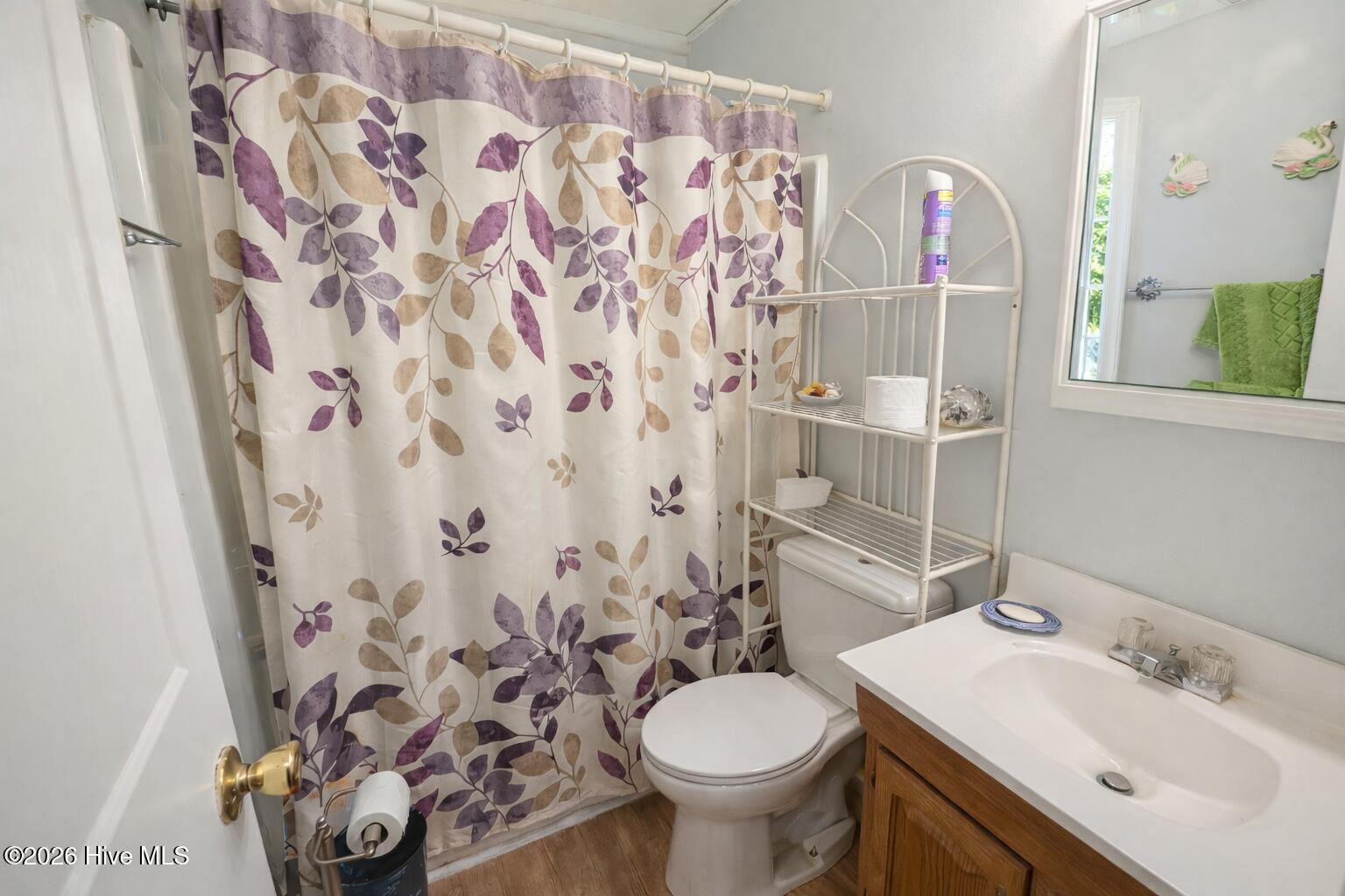 1335 North Ridge Street Southern Pines, NC 28387 - Photo 8 of 19 1335 N Ridge Hall Bath