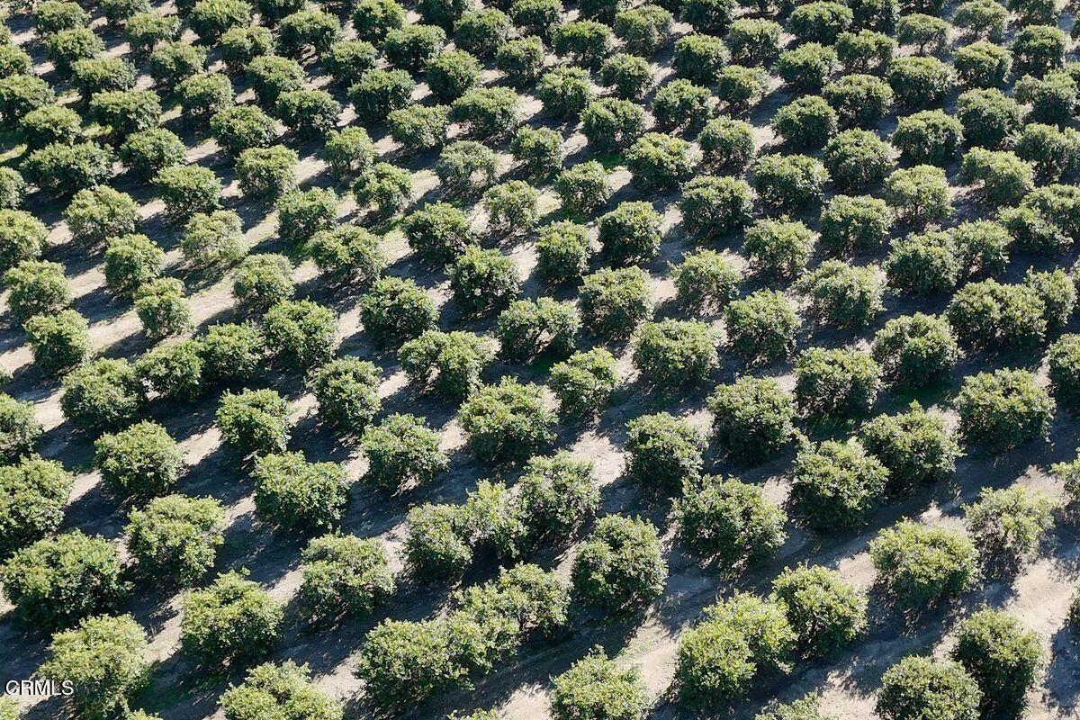 0 Foothill Road Santa Paula, CA 93060 - Photo 7 of 8