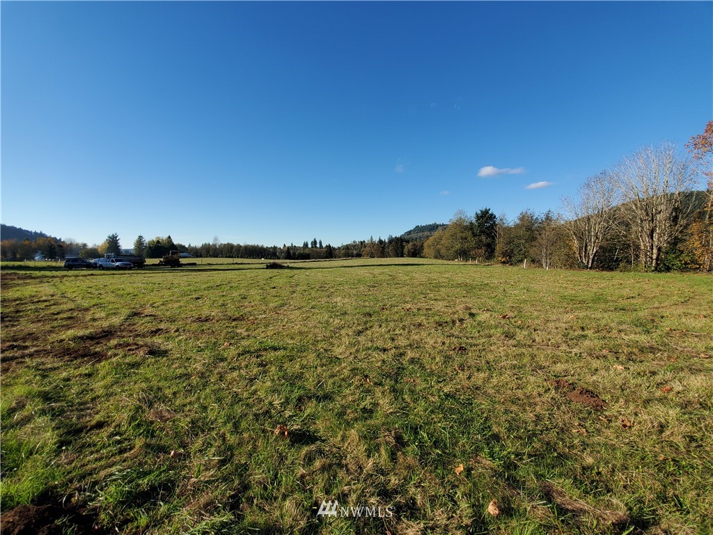 122-33 Jerrells Road Mossyrock, WA 98564 - Photo 3 of 9 Gallery Image 3