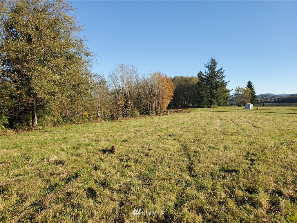 122-33 Jerrells Road Mossyrock, WA 98564 - Photo 8 of 9 Gallery Image 8