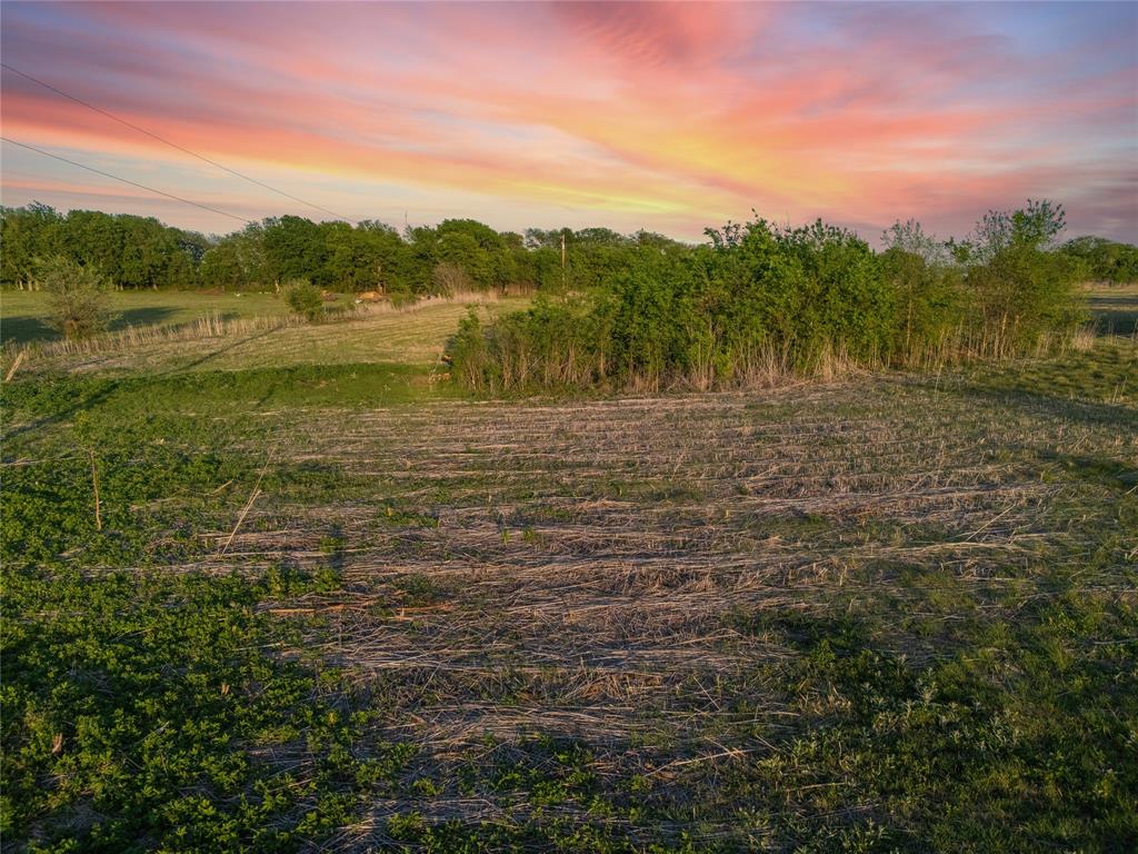 Tbd Willow Grove Road Moody, TX 76557 - Photo 21 of 23 Expansive land offering a combination of open fields and mature trees