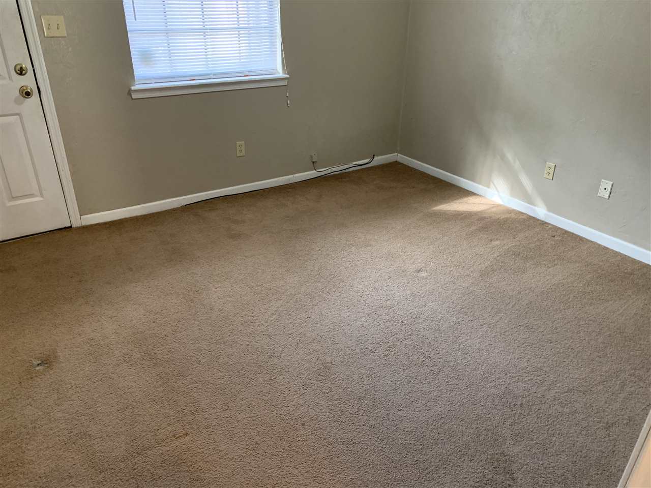 1159 Ocala Road Tallahassee, FL 32304 - Photo 10 of 22