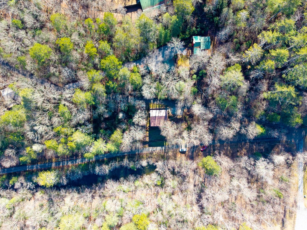 608 Hilltop Road Murphy, NC 28906 - Photo 15 of 42 Gallery Image 15
