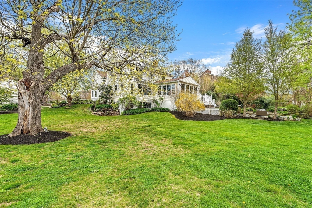 34 Everett Street Natick, MA 01760 - Photo 31 of 34 a view of a park with large trees