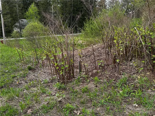 $89,000 | 1 A Bella Vista Drive, Ellicottville, NY 14731