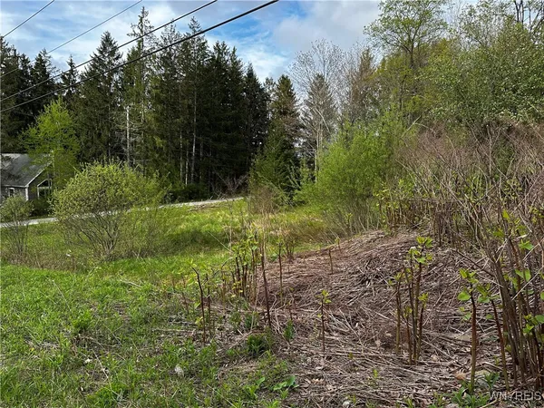 $89,000 | 1 A Bella Vista Drive, Ellicottville, NY 14731