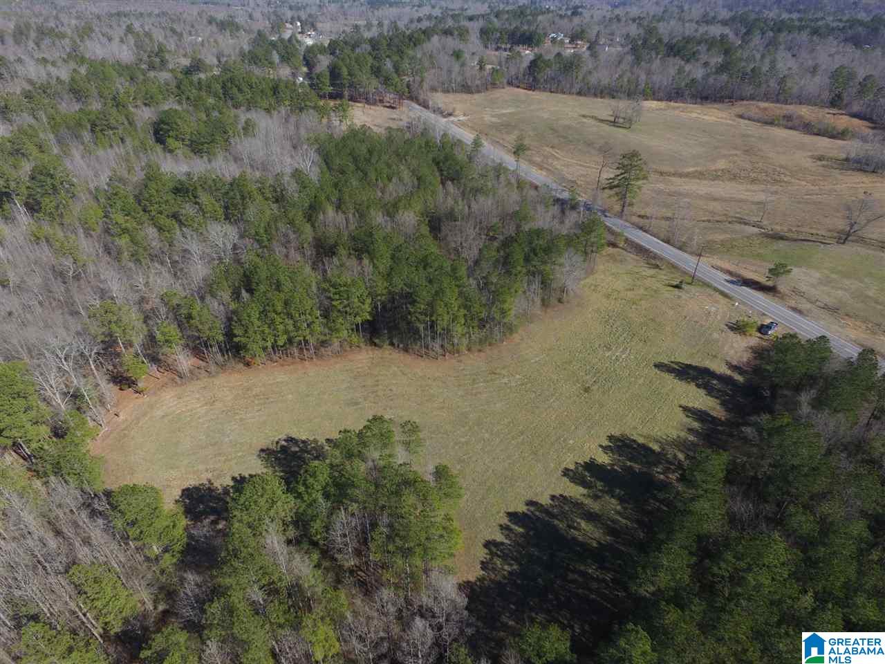 0 Shoal Creek Road, Unit 10 AC Ashville, AL 35953 - Photo 1 of 13