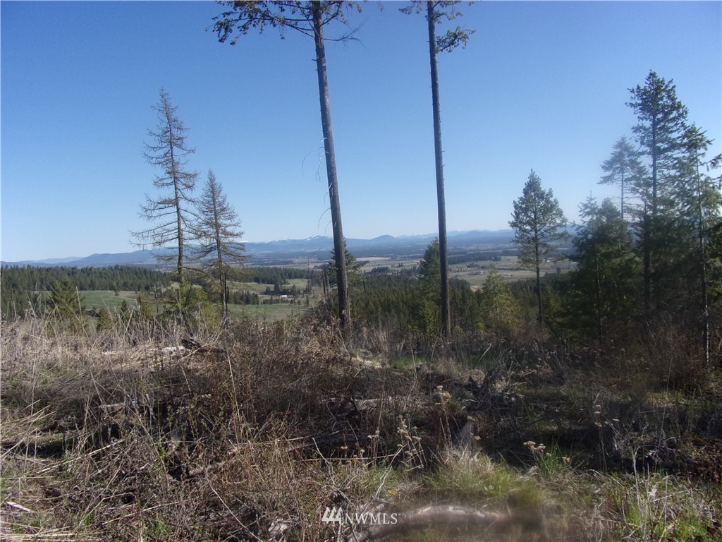 7525 West Bernhill Road Spokane, WA 99208 - Photo 22 of 25