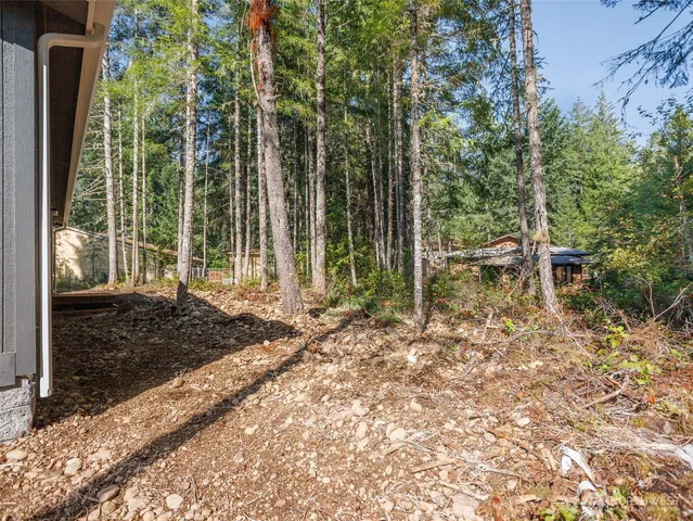 a view of swimming pool with trees