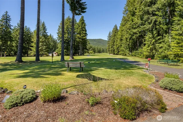 a view of swimming pool with a yard and palm trees