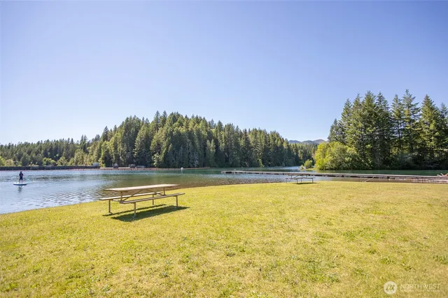 a view of a yard with swimming pool and trees in the background