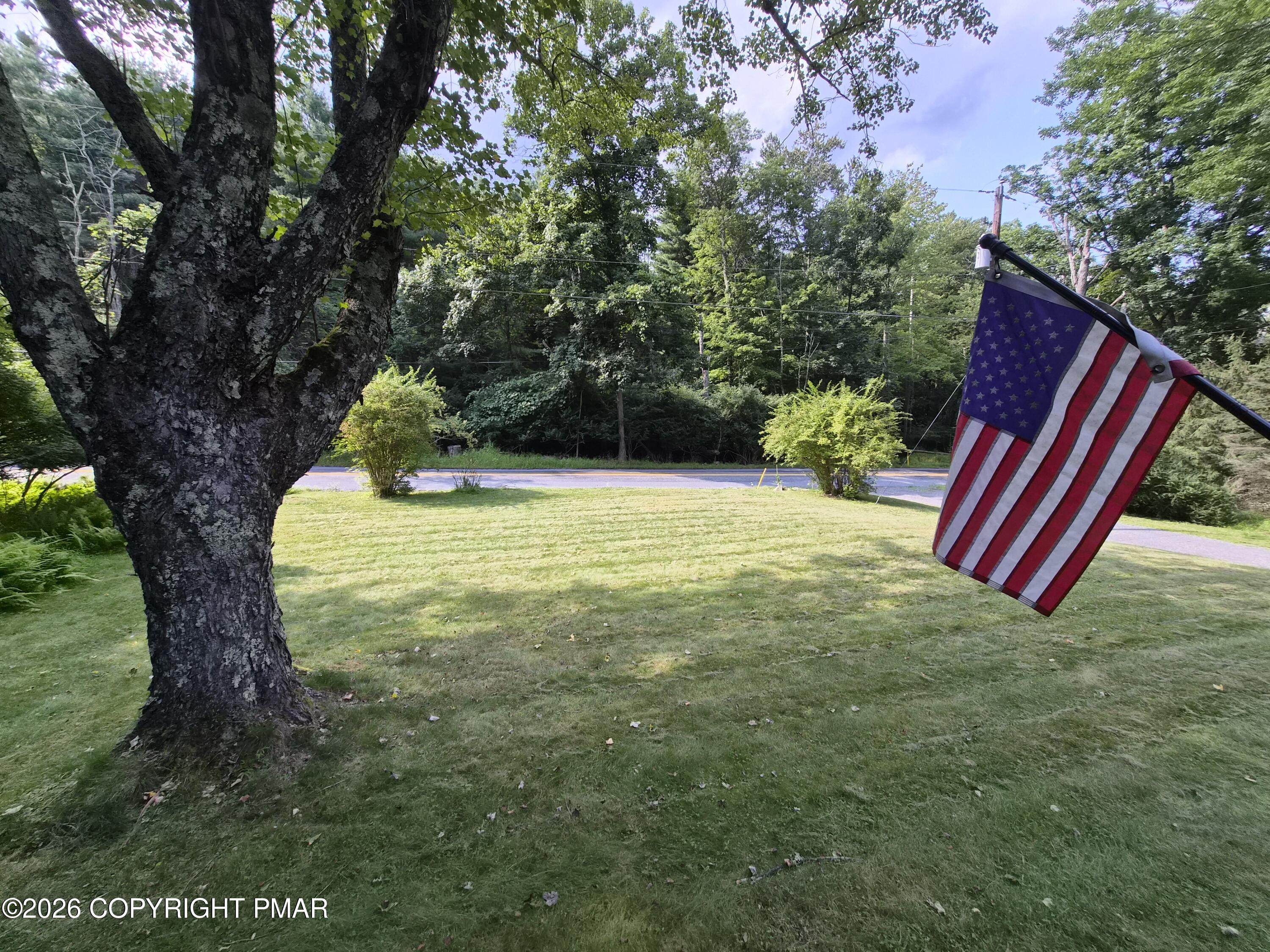 354 Sand Spring Road Cresco, PA 18326 - Photo 24 of 26 Front yard