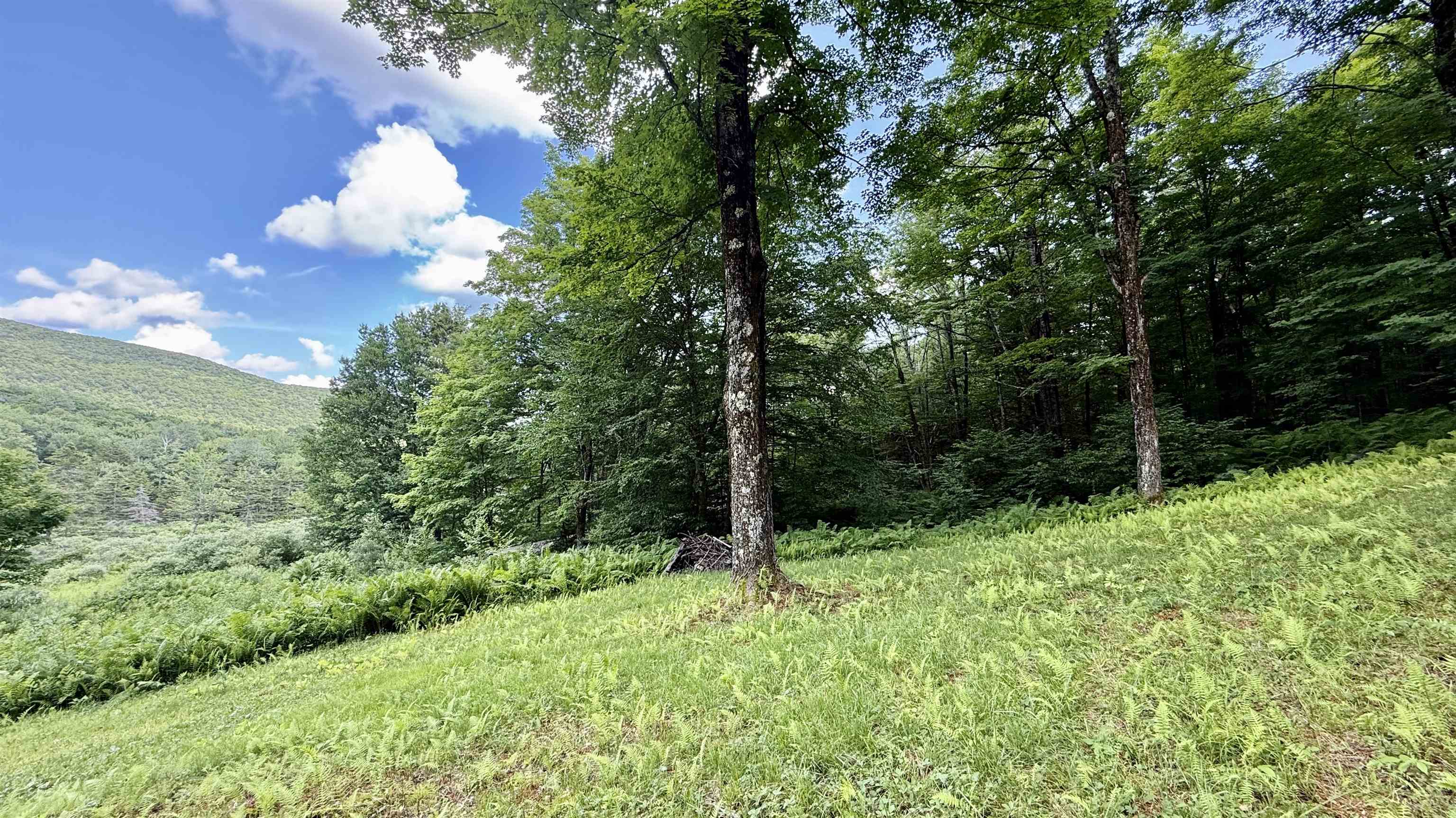 2075 Codding Hollow Road Johnson, VT 05656 - Photo 5 of 59