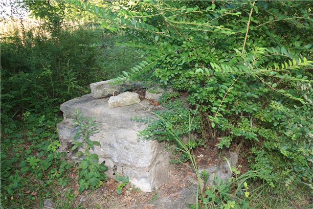 193 Pierce Road Minor Hill, TN 38473 - Photo 3 of 13 Old well on property