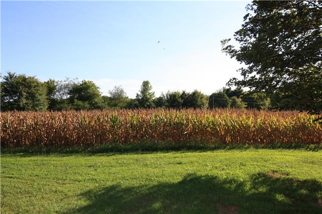 193 Pierce Road Minor Hill, TN 38473 - Photo 5 of 13 row crop land
