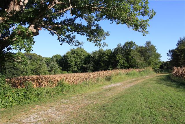 193 Pierce Road Minor Hill, TN 38473 - Photo 6 of 13 driveway entrance