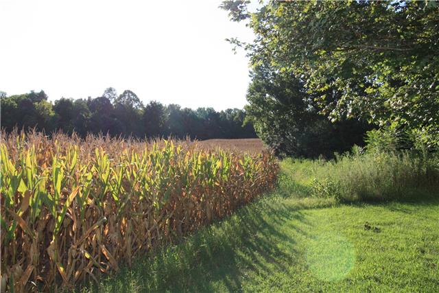 193 Pierce Road Minor Hill, TN 38473 - Photo 7 of 13 another view of crop land