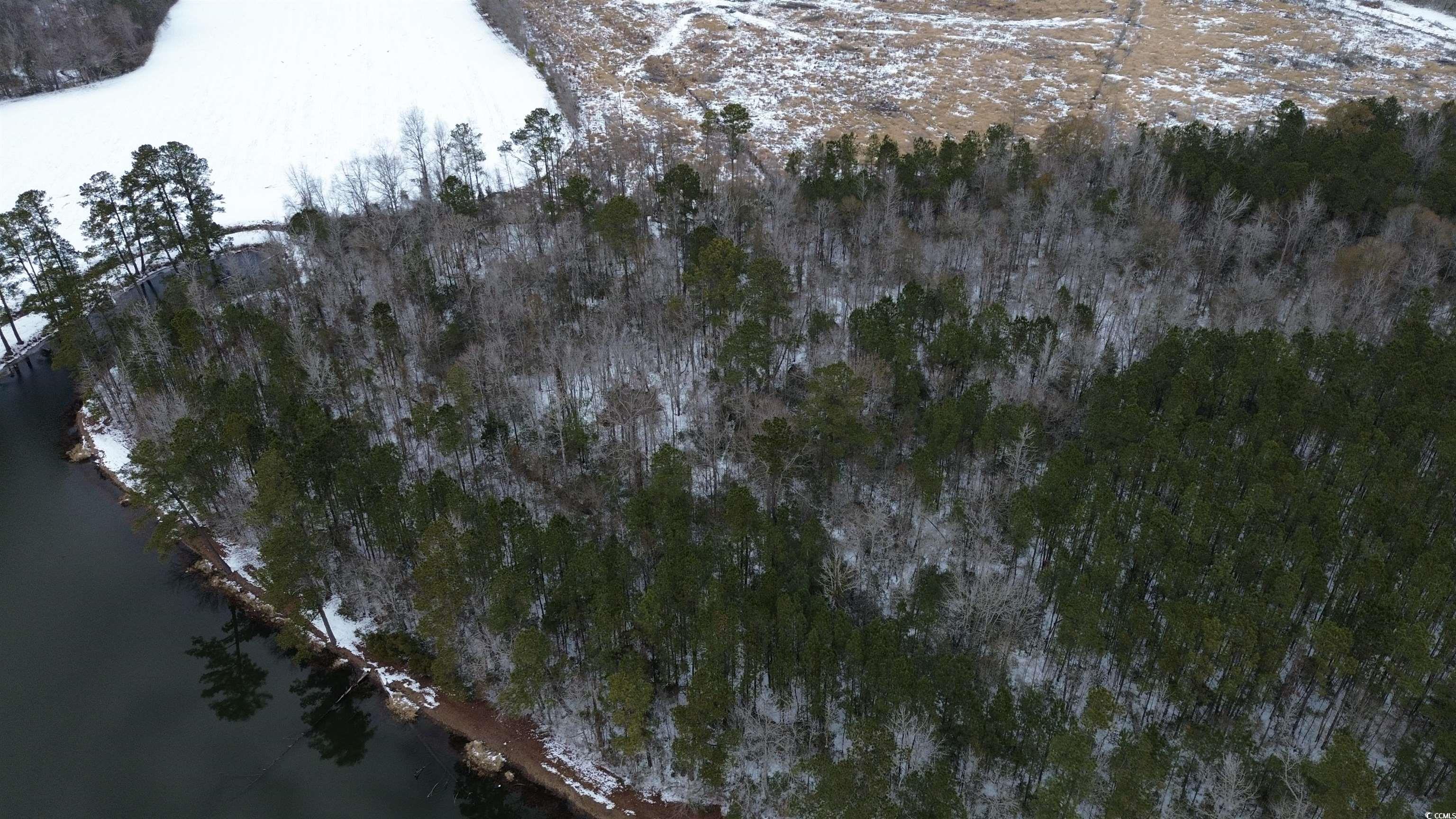 Tbd Green Sea Road Green Sea, SC 29545 - Photo 2 of 9 Birds eye view of property featuring a forest view