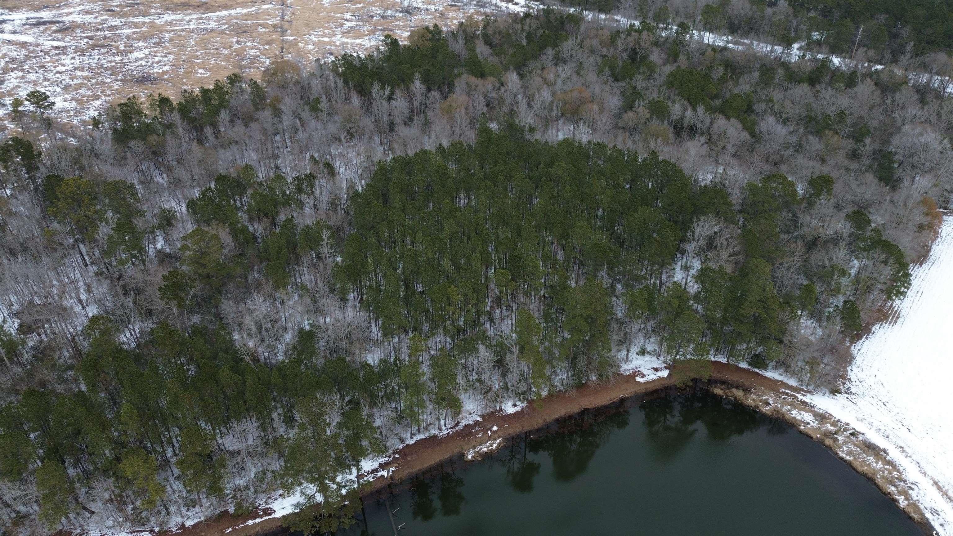 Tbd Green Sea Road Green Sea, SC 29545 - Photo 3 of 9 Birds eye view of property