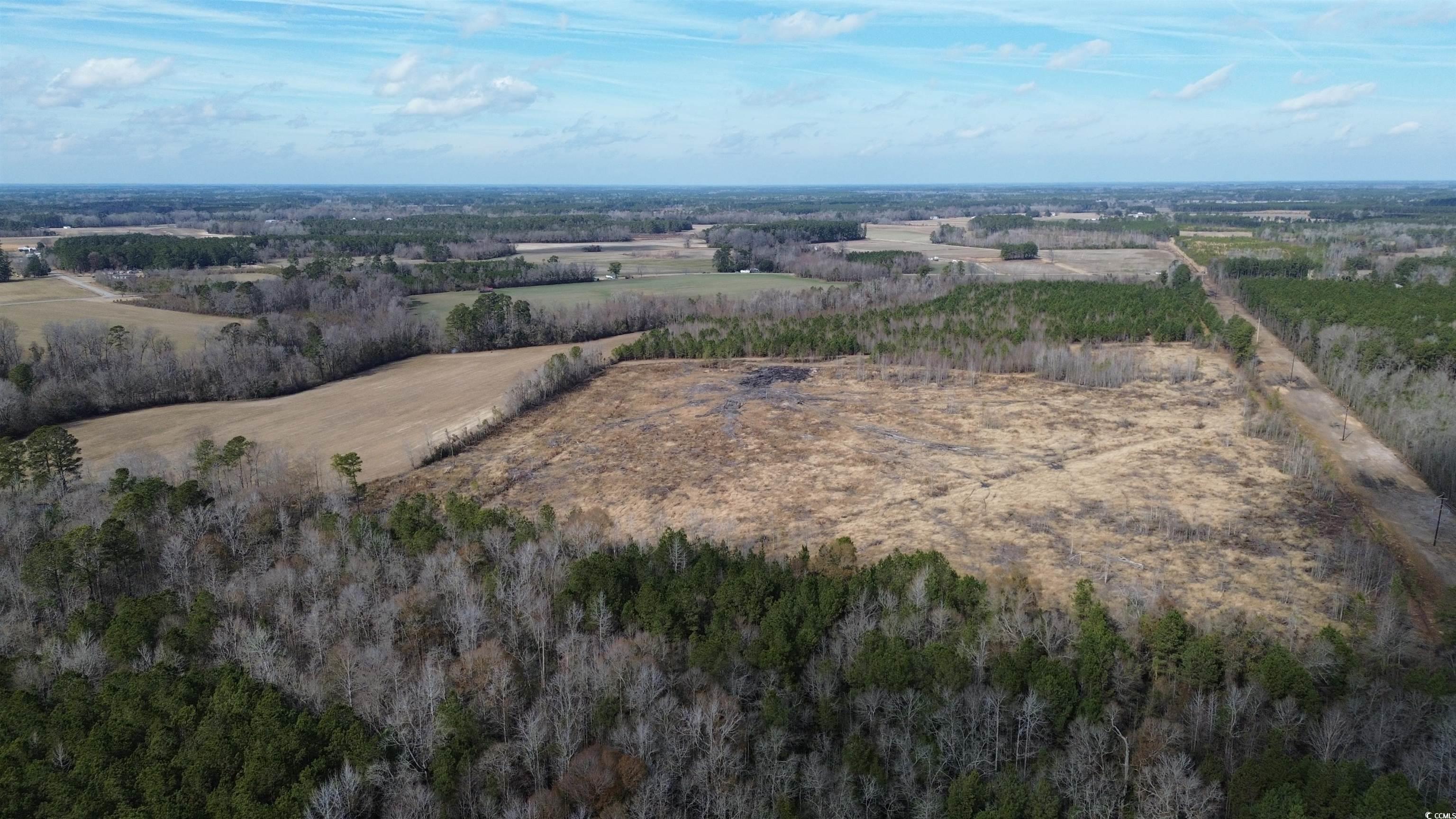 Tbd Green Sea Road Green Sea, SC 29545 - Photo 5 of 9 Drone / aerial view with a rural view