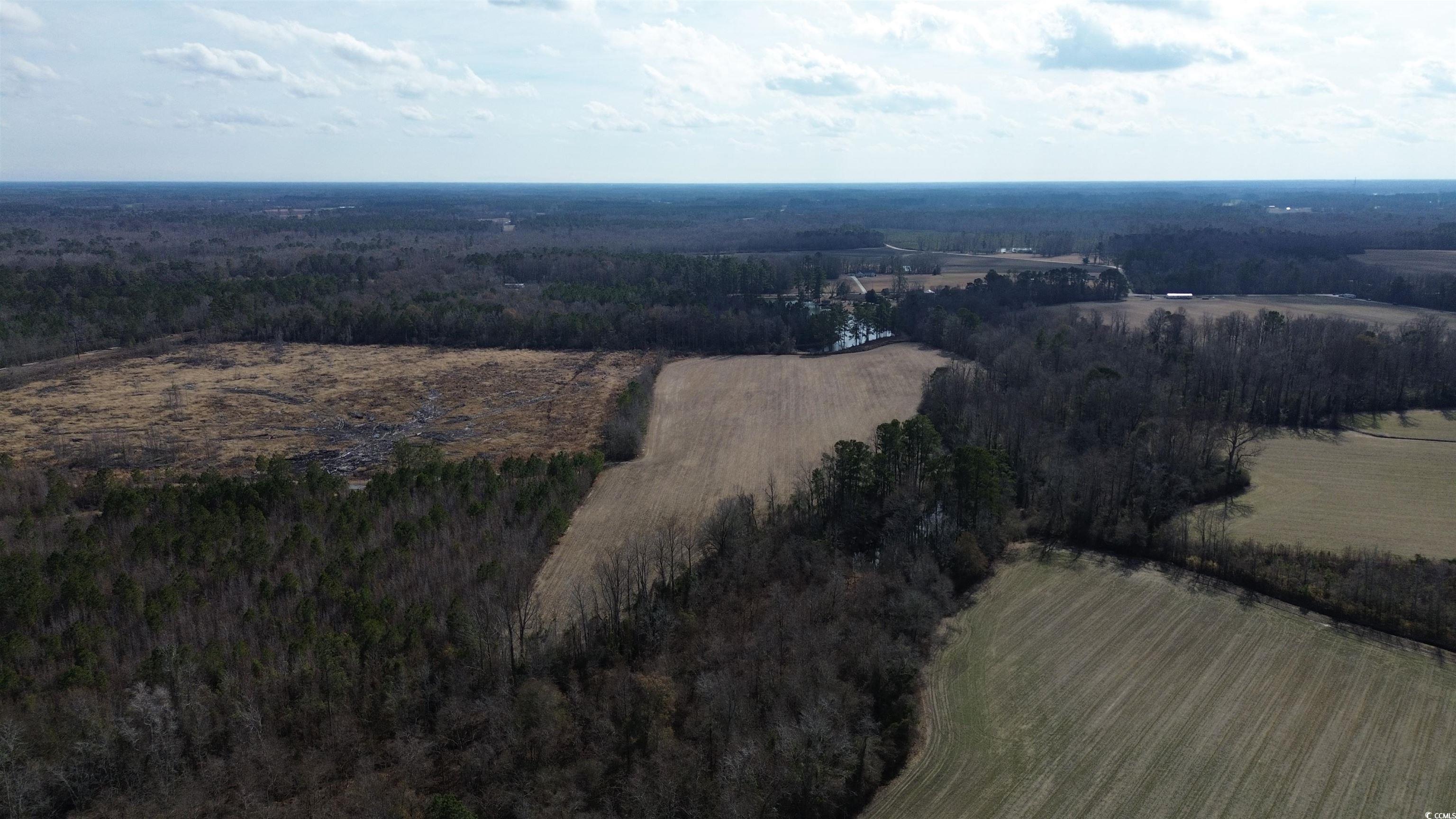 Tbd Green Sea Road Green Sea, SC 29545 - Photo 6 of 9 Bird's eye view with a forest view and a rural view