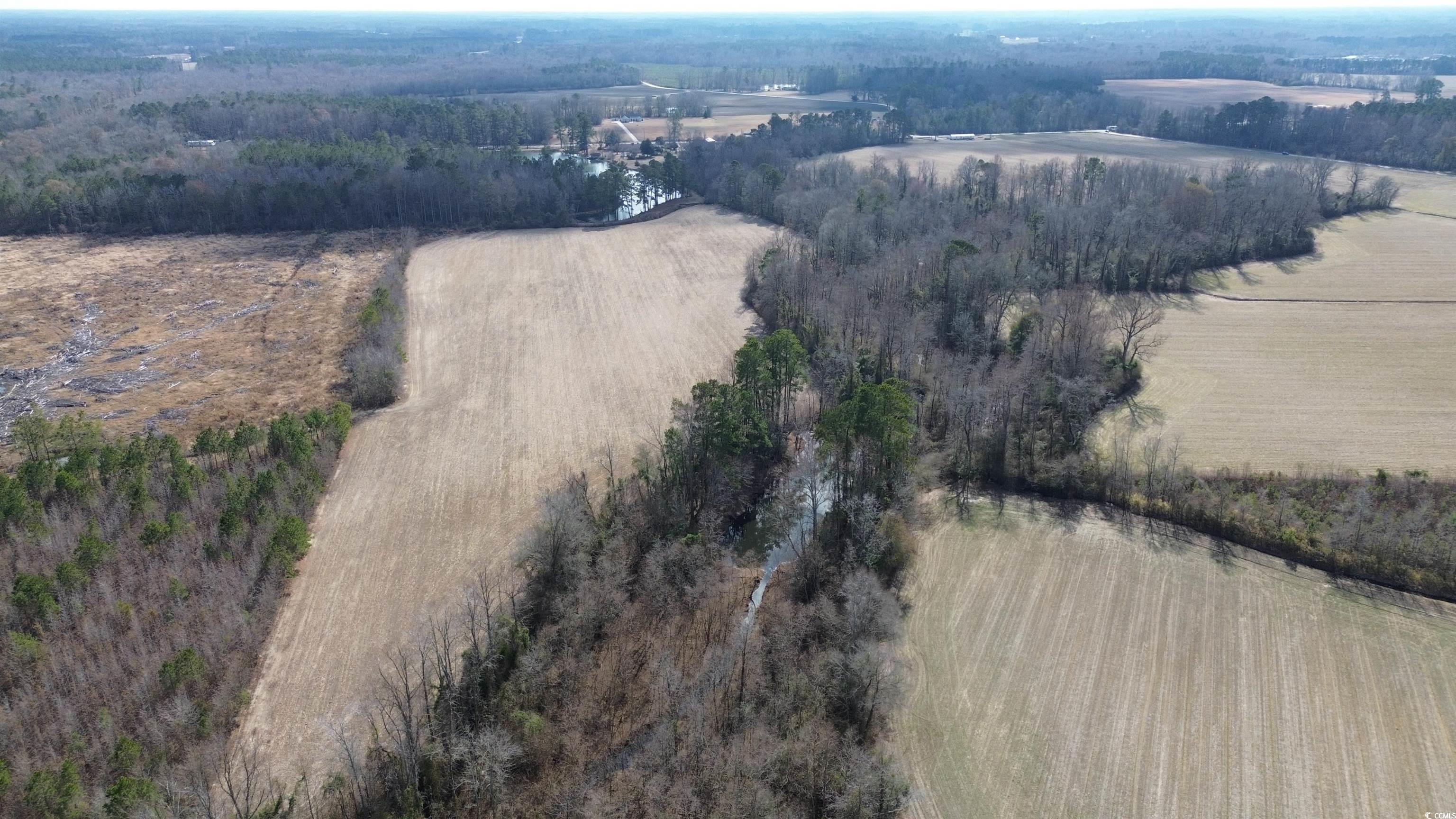 Tbd Green Sea Road Green Sea, SC 29545 - Photo 7 of 9 Bird's eye view with a rural view